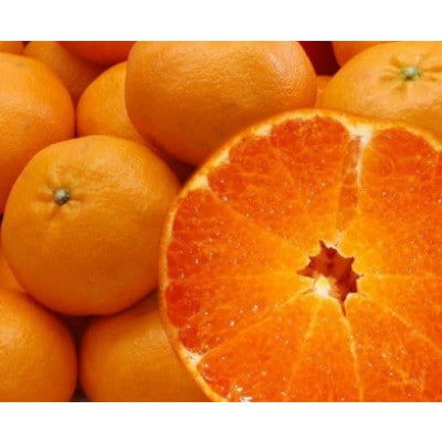 はちきれんばかりの果肉がぎっしり!愛媛県八幡浜産・甘平5kg【訳あり】【E35-16】【配送不可地域：離島・北海道・沖縄県】【1492238】