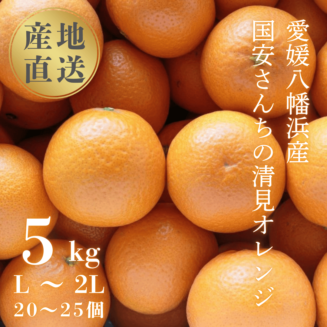 【まるで食べるジュース!越冬完熟品】愛媛産 清見オレンジ 5kg【D20-38】【1594848】 YWTI033