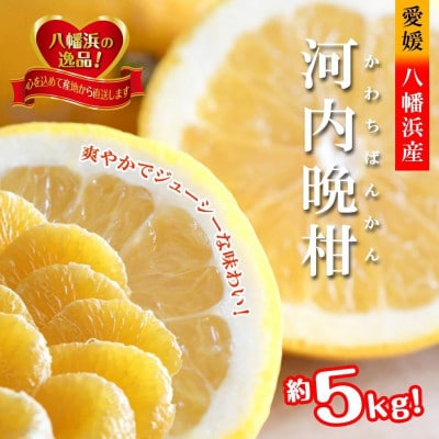 2026年4月〜順次出荷　爽やかでみずみずしい!初夏のジューシー「河内晩柑」約5キロ【C39-81】【配送不可地域：離島】【1639646】