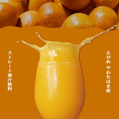 媛一ジュース160ml×8本セット・果汁100%ストレートジュース【D24-35】【1635216】