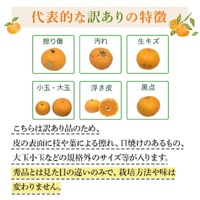 【2025年発送】紅まどんな と同品種!愛媛果試28号 3.5kg【訳あり】【D25-133】【1166250】