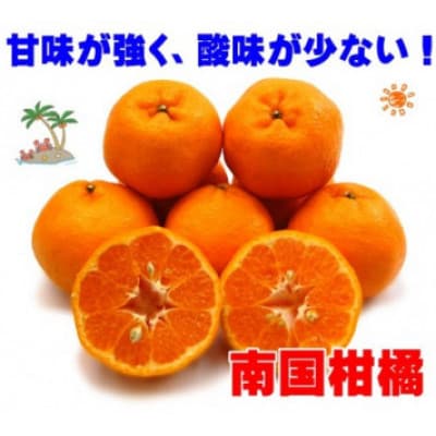 愛媛県産ポンカン10kg【訳あり】【D35-14】【配送不可地域：離島・北海道・沖縄県】【1492242】