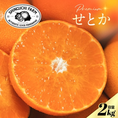 【数量限定】老舗農家が見極めたプレミアム【せとか2kg】柑橘の大トロ【C70-96】【1671344】