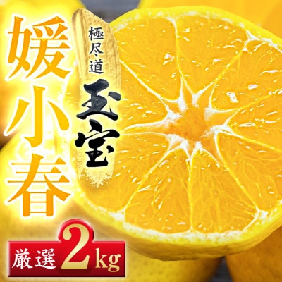 【愛媛名産】玉宝媛小春(ひめこはる)　2kg【D64-85】【1623968】