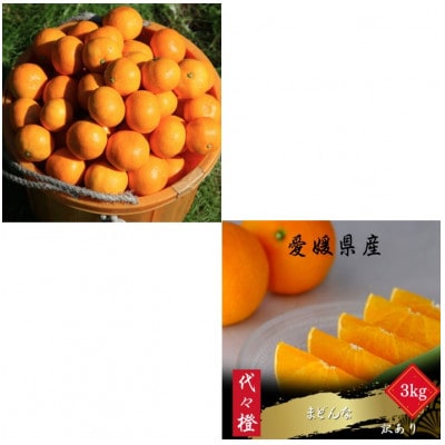 【発送月固定定期便】【訳あり】みかん まどんな【E83-49】全2回【4068837】