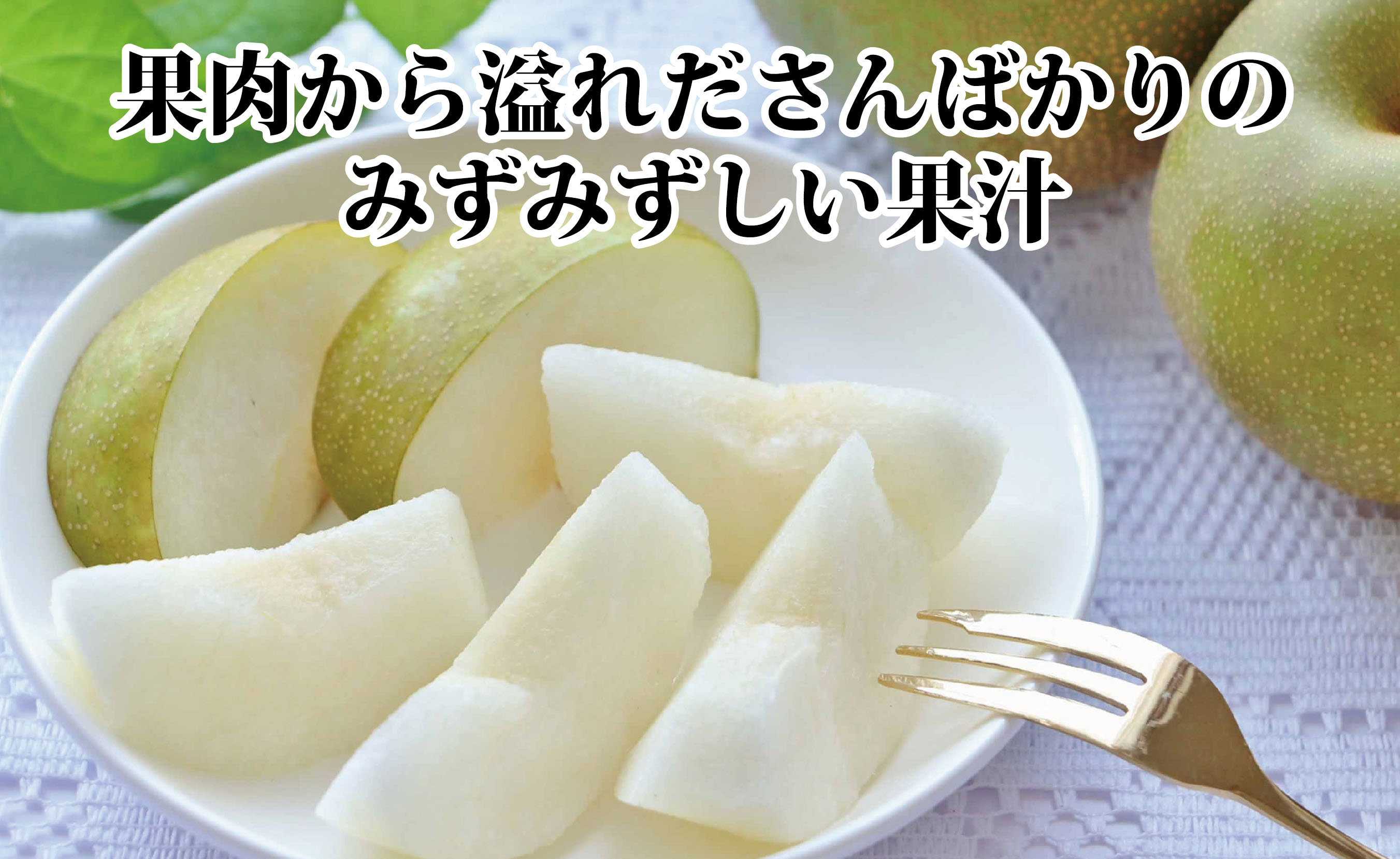 縲仙郁。悟女莉倥大ォ蟷。豬懊ョ譴ィ縲∵棡豎√◆縺」縺キ繧!!縲悟ケク豌エ縲咲エ4繧ュ繝ュ縲織39-40縲代宣埼∽ク榊庄蝨ー蝓滂シ夐屬蟲カ縲代1316573縲 YWTF019