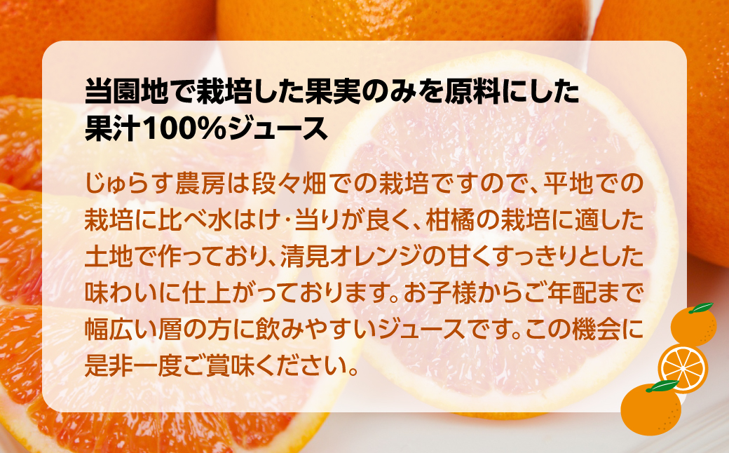 じゅらす農房の清見オレンジジュース12本セット【H32-13】【1296473】 YWTH012