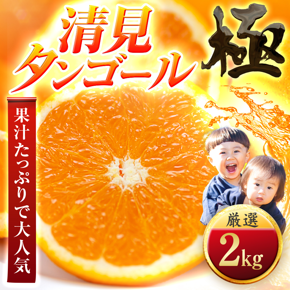 【太陽をたっぷり浴びた】清見タンゴール【極】2kg【A49-94】【1623955】 YWTZ079