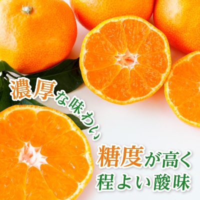 äžä»£ç®ãã€ããé«å質ãé ã¿ããã2kgã1181949ã