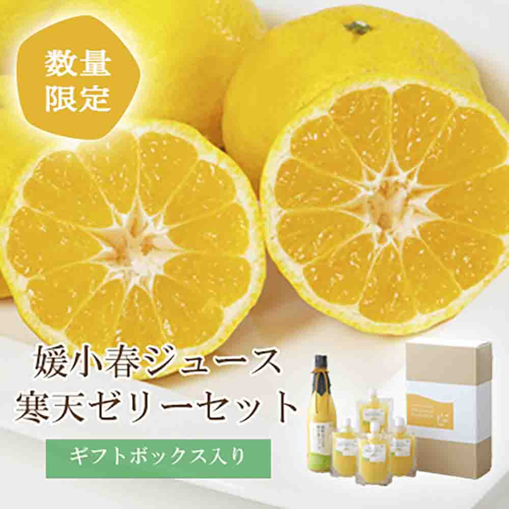 愛媛でしか栽培できない希少柑橘 媛小春(ひめこはる)のジュースと寒天ゼリーセット【D25-84】【1309625】 YWTAP044