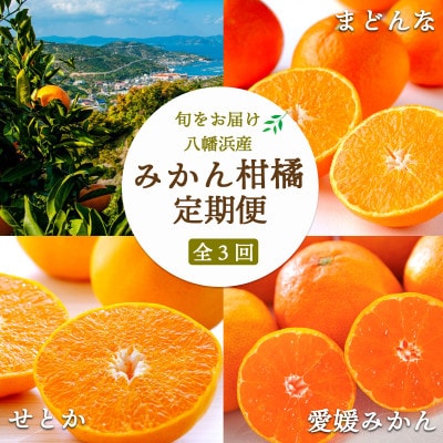 【発送月固定定期便】愛媛みかん大玉8kg×まどんな2.5kg×せとか2kg【H25-281】全3回【4071450】