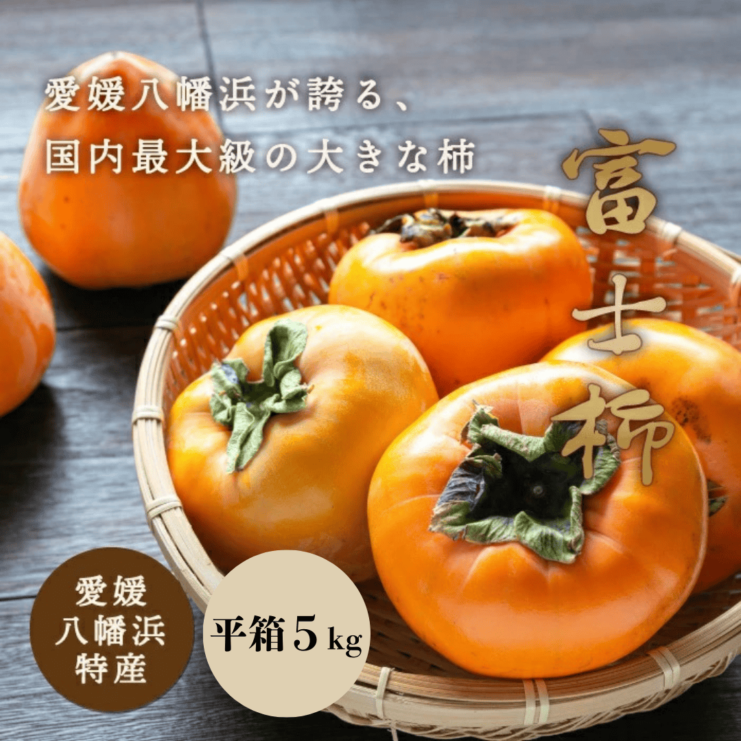 《八幡浜特産 国内最大級の 柿》 富士柿 5kg 種無し【D20-21】【1094600】 YWTI017