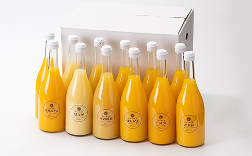 6çš®ã¿ãããžã¥ãŒã¹ã»ãã12æ¬ã»ãã(å2æ¬)ãH56-85ãã1668721ã