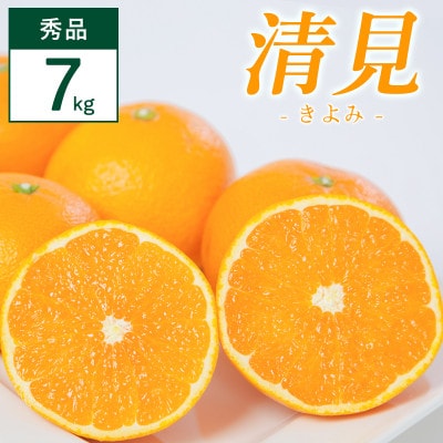清見 7kg 愛媛県 八幡浜市 西宇和地区 柔らかい果肉【F25-353】【配送不可地域：離島】【1716866】
