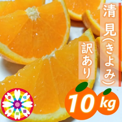 愛咲果樹園 「 清見 」 訳あり 約10kg【C71-15】【1344734】