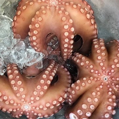 八幡浜発!竹中水産のたっぷり「浜茹で地蛸」三昧!たっぷり2.5kg前後【H22-190】【配送不可地域：離島】【1043153】