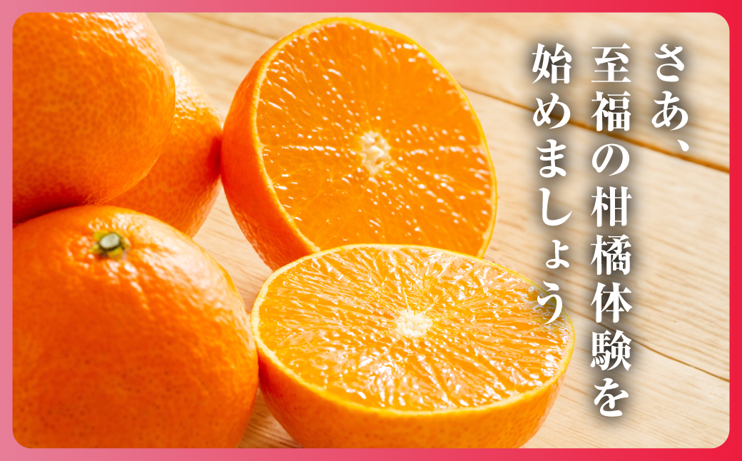 紅まどんなと同じ品種《頂まどんな》ご家庭用 3kg 【E31-22】【1329228】 YWTAC012