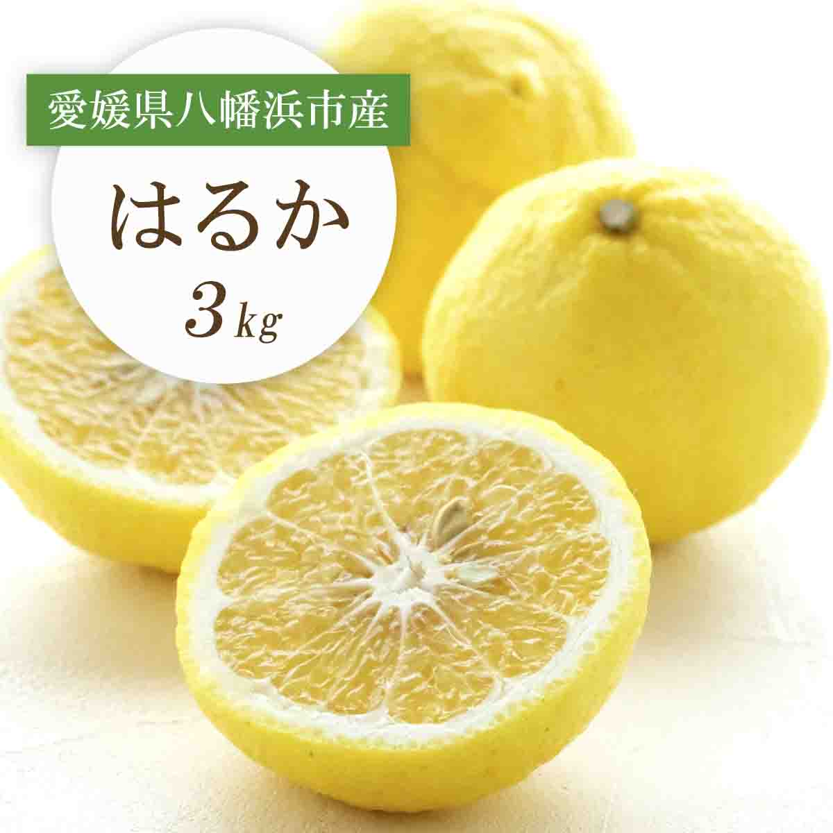 【2026年2月以降発送】すっきり甘い!愛媛県八幡浜市産はるか 3kg【C25-204】【1612464】 YWTAP145