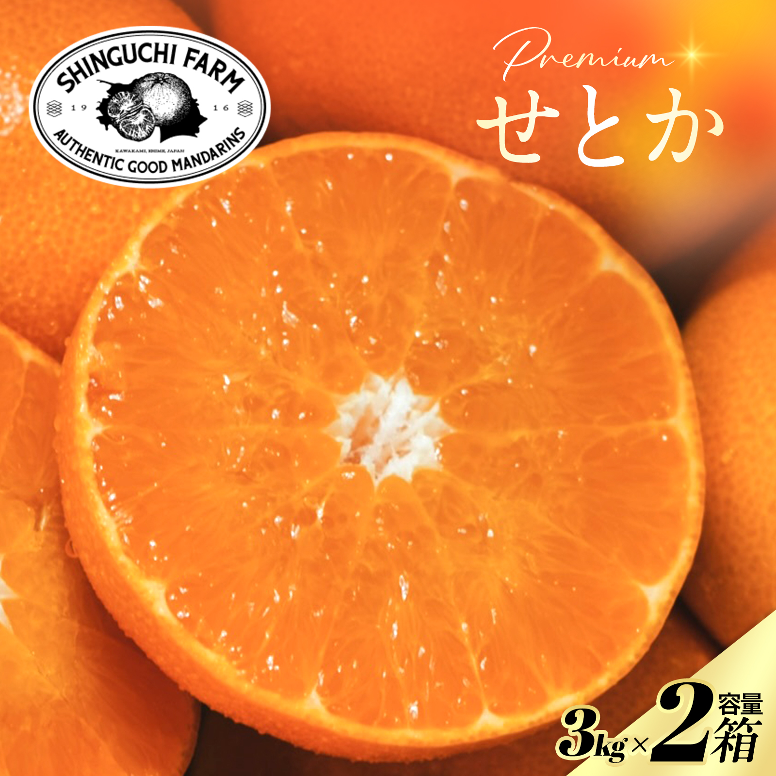 【先行受付】五代目が厳選した「柑橘の大トロ せとか」3kg×2箱【H70-115】【1683912】 YWTK114