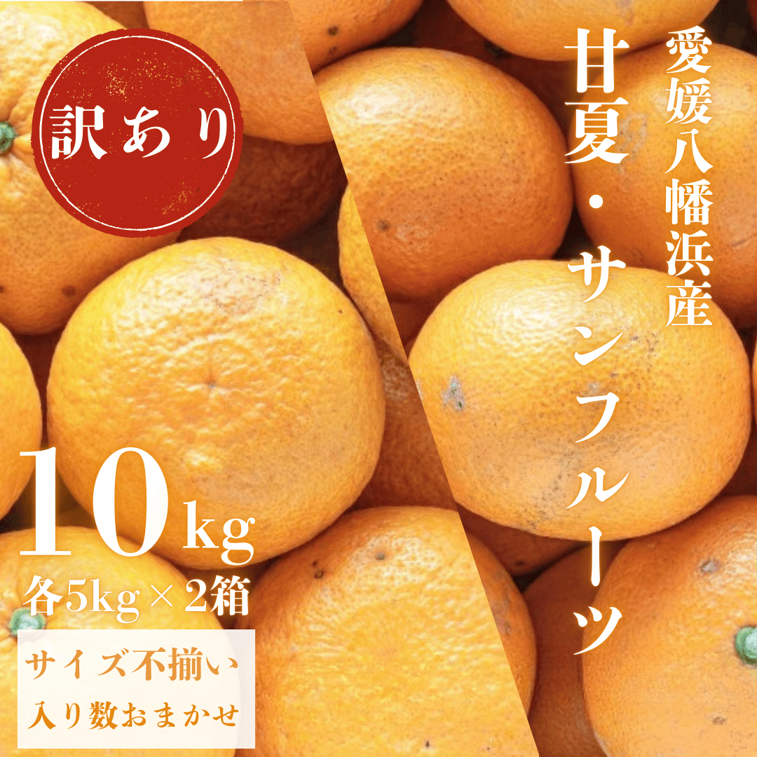 甘夏&サンフルーツ各5kg【訳あり】【C20-19】【1094577】 YWTI016