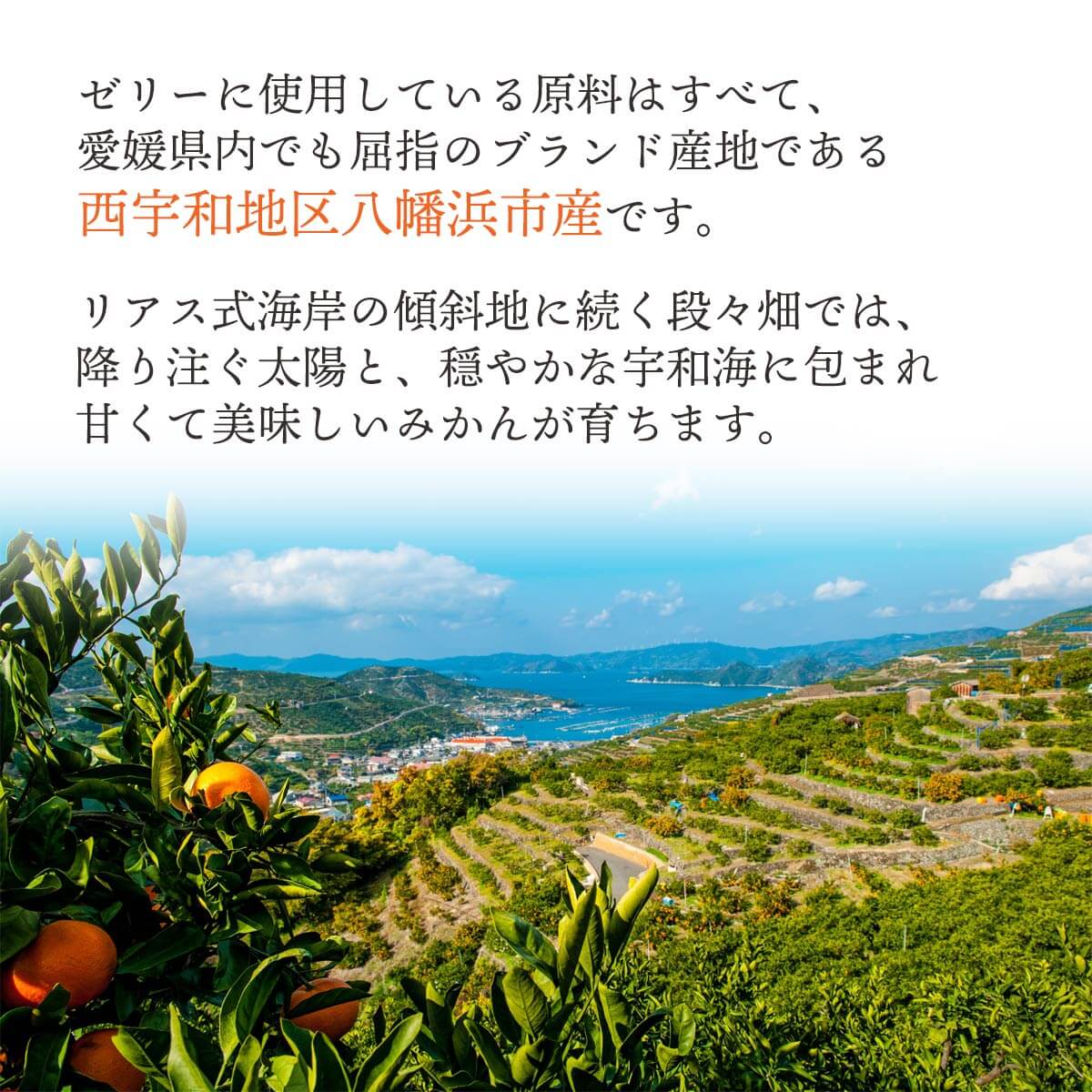 ãŸãããšå¡©æŒ¬ãã«ããã¿ãããäœ¿çš å¡©ã¿ããå¯å€©ãŒãªãŒ8æ¬ã»ãããC25-62ãã1231056ã YWTAP034