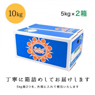 甘夏&サンフルーツ各5kg【訳あり】【C20-19】【1094577】