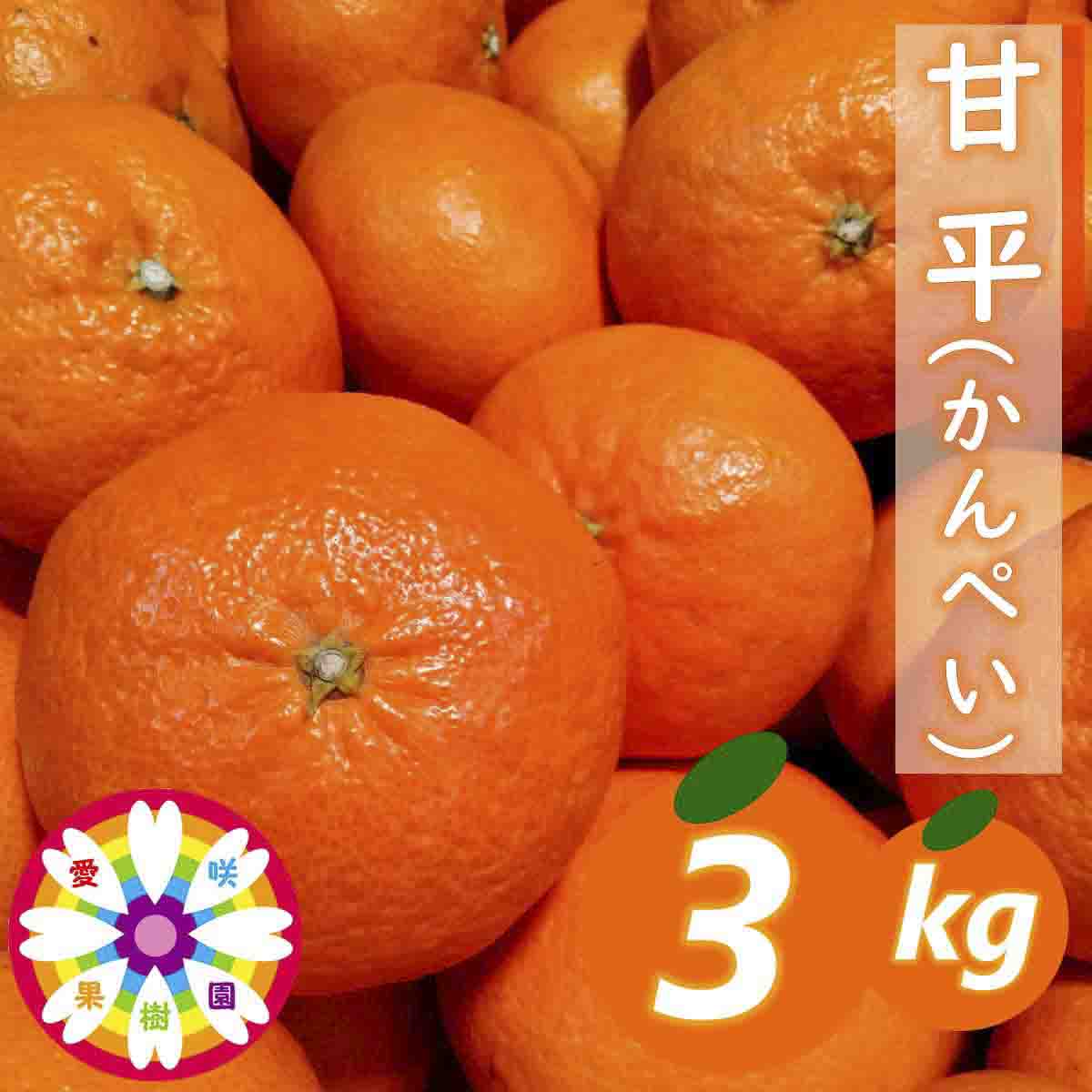 【先行受付】愛咲果樹園 「 甘平 」約3kg【D71-28】【1616841】 YWTS024