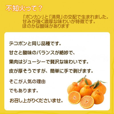 2026幎2æãé æ¬¡åºè·ãçããšé
žå³ã®çµ¶åŠãªãã©ã³ã¹!ã¯ãããæèãäžç¥ç«ãçŽ5ãããD39-73ããé
éäžå¯å°åïŒé¢å³¶ãã1620478ã