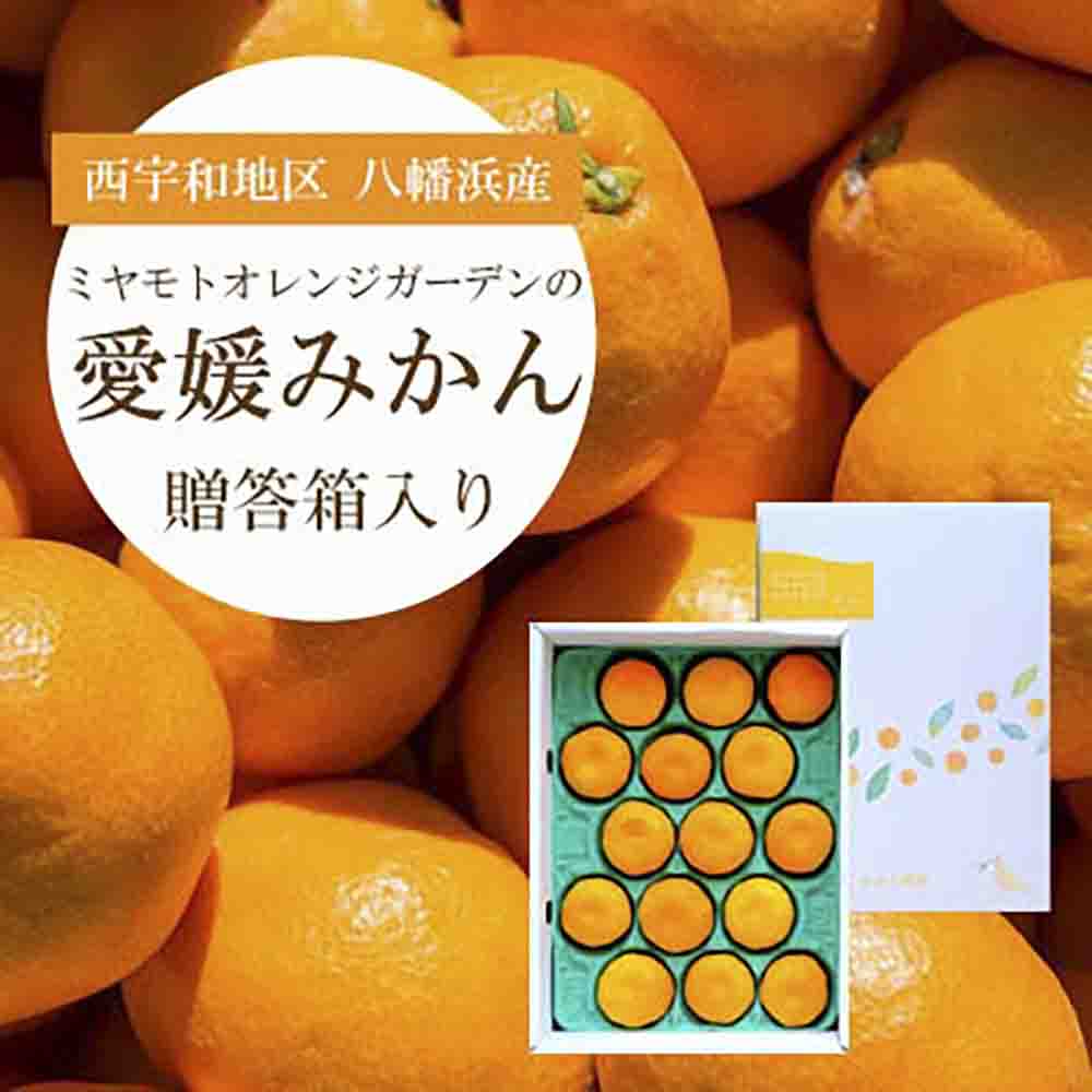 西宇和地区八幡浜産 愛媛みかん 贈答用 15個入り【C25-97】【1356897】 YWTAP048
