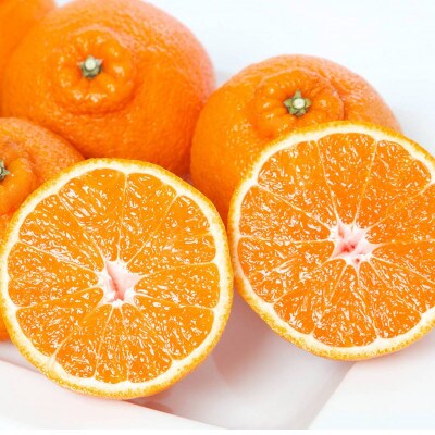 譛鬮倡エ壹∩縺九s 蟐帷嚊 荳咲衍轣ォ 2kg 諢帛ェ帷恁 蜈ォ蟷。豬懷ク 隘ソ螳蜥悟慍蛹コ縲燭25-383縲代1718362縲