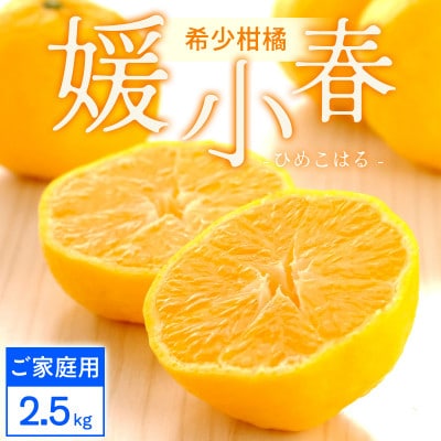 【ご家庭用】媛小春 2.5kg 愛媛県 八幡浜市 西宇和地区 希少な幻の柑橘【C25-323】【1714072】