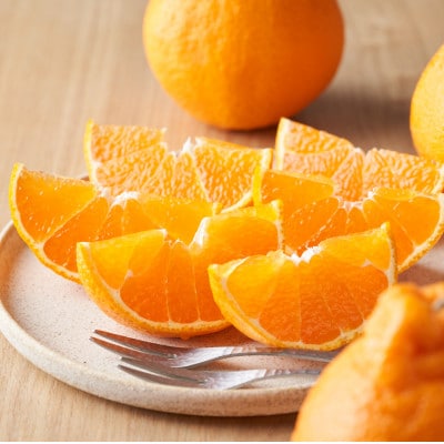 縲仙、ェ髯ス繧偵◆縺」縺キ繧頑オエ縺ウ縺溘代ョ繧ウ(荳咲衍轣ォ)縲先・オ縲2kg縲植49-95縲代1623956縲