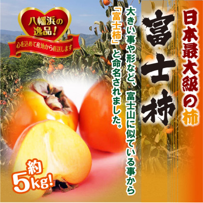 甘さにニッコリ日本最大級の柿「富士柿」約5キロ 【D39-15】【配送不可地域：離島・北海道・沖縄県】【1236930】
