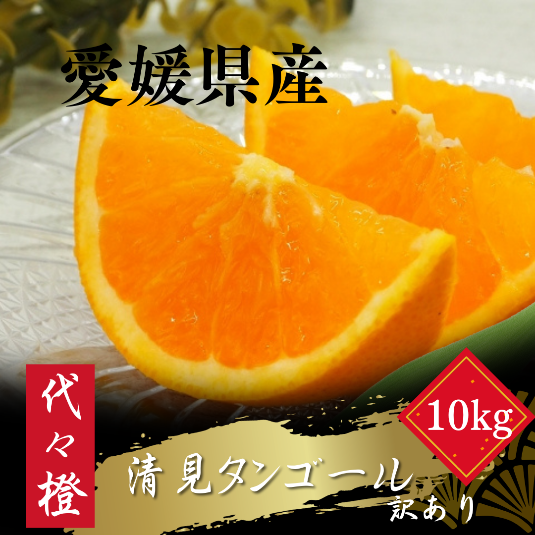 【先行受付】【トロッととろける果実】【訳あり】清見タンゴール 10kg【E83-26】【1557490】 YWTW026