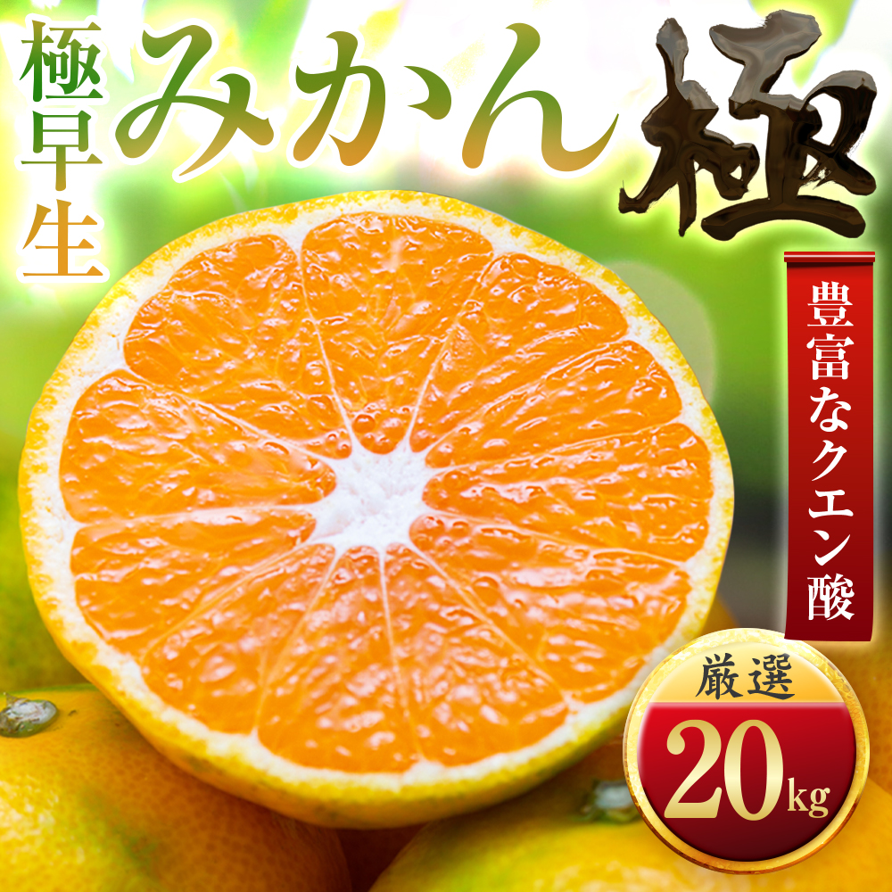 【太陽をたっぷり浴びた】極早生みかん【極】20kg【H49-37】【1508913】 YWTZ029