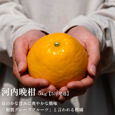 ãçºéæåºå®å®æäŸ¿ãæåªã®çŸå³ããäººæ°ææ©5åçš® çå¹³ã»ããšãã»æ²³å
æ©æçãH70-43ãå
š5åã4055162ã