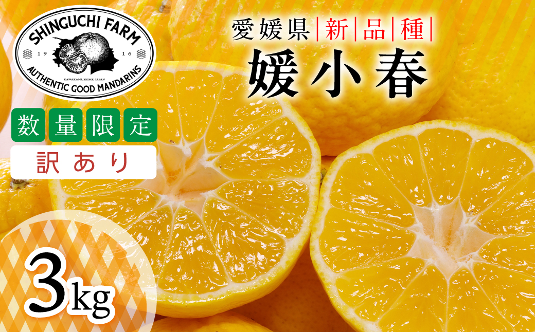 縲仙郁。悟女莉倥代占ィウ縺ゅj縲大ェ帛ー乗丼 3kg縲燭70-162縲代1710482縲 YWTK161