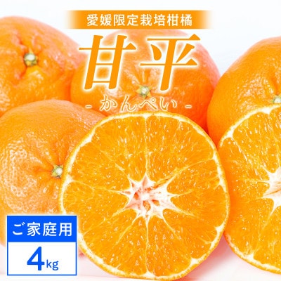 【ご家庭用】甘平 4kg 愛媛県 八幡浜産 西宇和地区 扁平で濃い味 新食感【E25-304】【1713054】