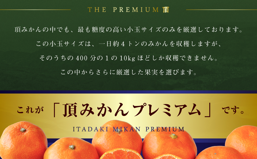 三代目の頂みかんTHEプレミアム【小玉サイズ】3kg【C31-32】【1424406】 YWTAC021
