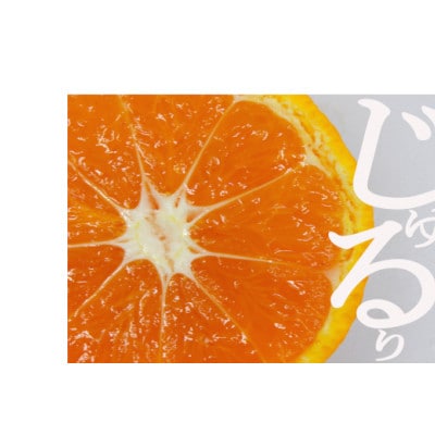 å®¶åºçšãæåªæè©Š48å·(çŽ
ããªã³ã»ã¹ãšååçš®)ãE56-60ããé
éäžå¯å°åïŒé¢å³¶ãã1591766ã