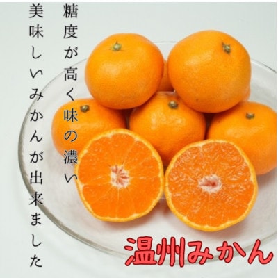 愛媛県八幡浜産 極甘みかん 3kg【C96-1】【1670374】