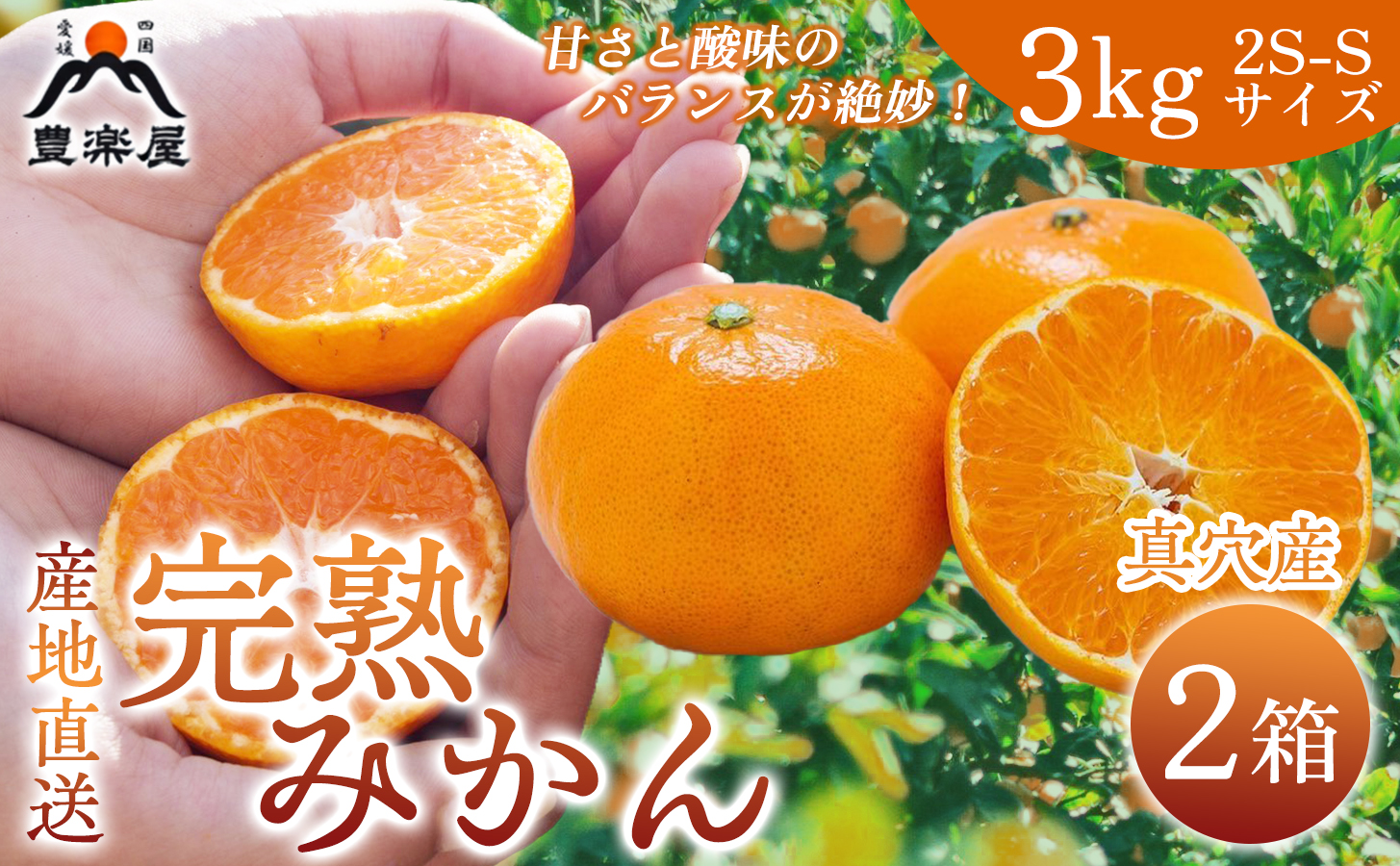 【先行受付】【農家直送でお届け！】果汁たっぷり真穴産みかん 3kg×2箱(2S~Sサイズ)【F98-18】【1711298】 YWTBU018