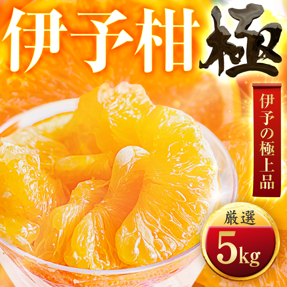 【太陽をたっぷり浴びた】伊予柑【極】5kg【C49-43】【1509740】 YWTZ035