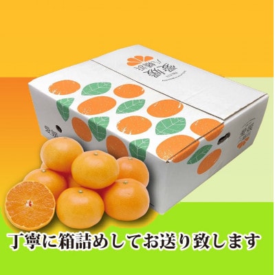 2026年2月発送開始　みずみずしい香り・柑橘の大トロ!「姫せとか」約3.5kg【D39-60】【配送不可地域：離島】【1583778】