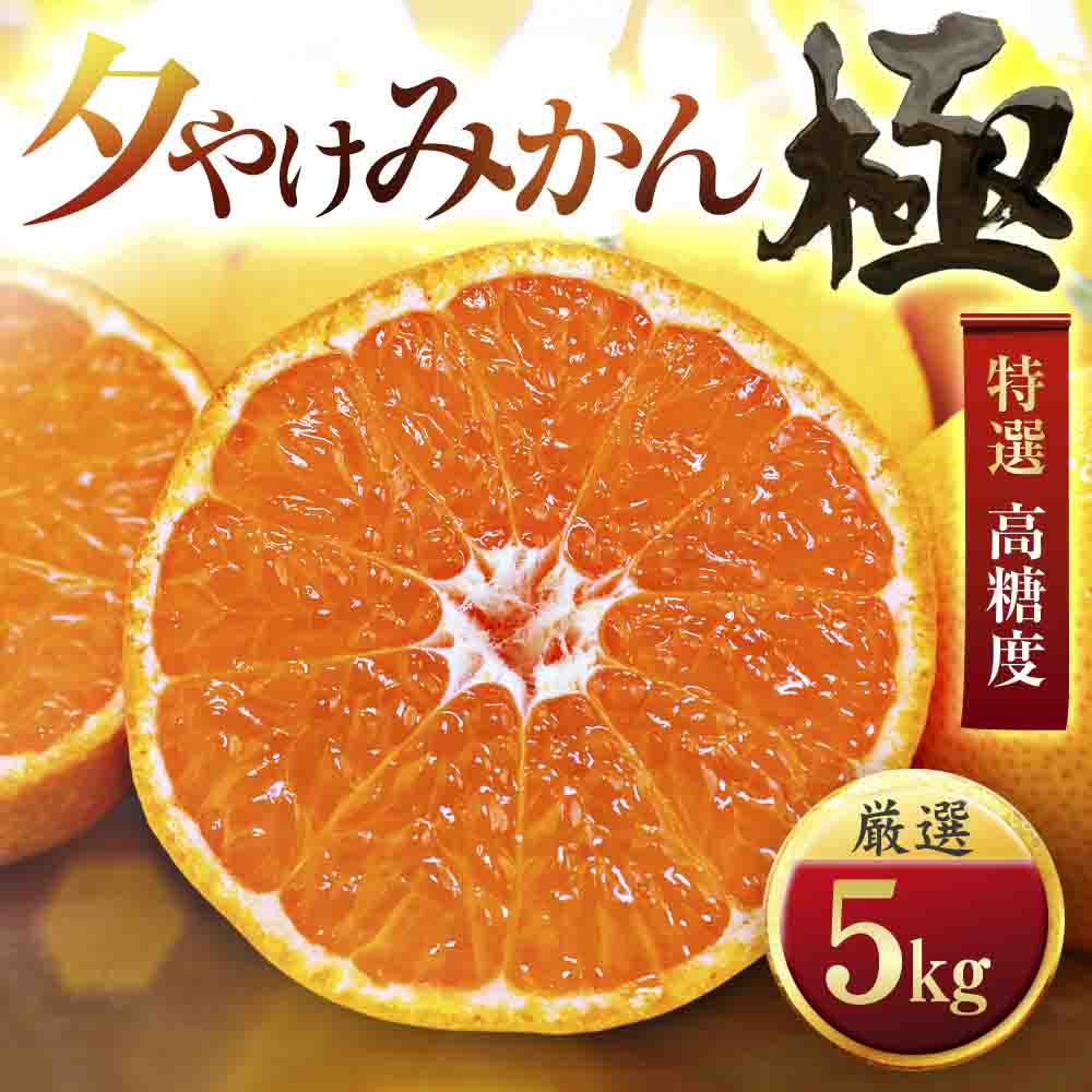 【甘みが濃縮されたみかん】愛媛で育った夕やけみかん【極】5kg【D49-8】【1243461】 YWTZ010