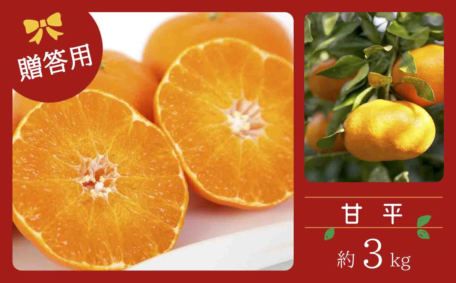 【先行受付】コウ果樹園の【厳選】「甘平」3kg【C33-11】【1056131】 YWTG005