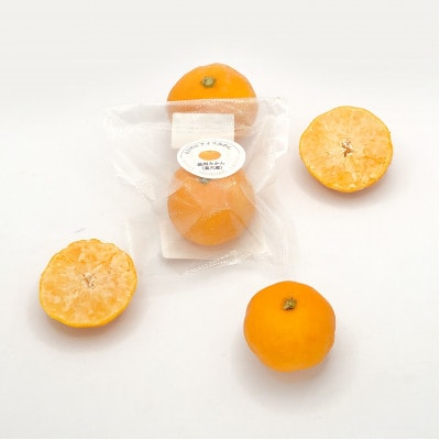 縲千悄遨エ逕」縲大キ蜃阪∩縺九s縲縺医イ繧√ョ繧「繧、繧ケ縺ソ縺九s縲10陲玖ゥー繧√燭82-3縲代宣埼∽ク榊庄蝨ー蝓滂シ夐屬蟲カ縲代1626299縲