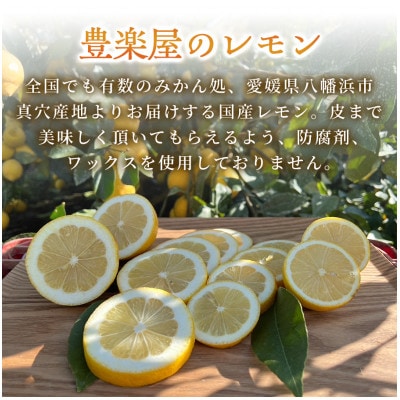 【防腐剤・ワックス不使用で安心】真穴産地直送のレモン　5kg×2箱(S~Lサイズ)【H98-10】【1711283】