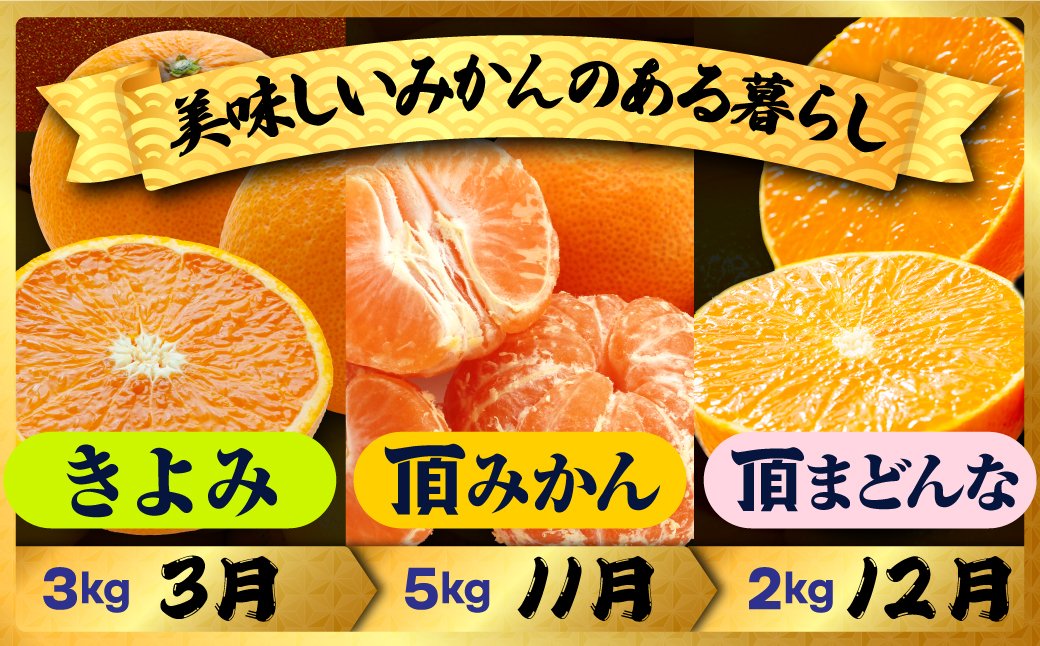 【発送月固定定期便】美味しいみかん柑橘のある暮らし【みかん・まどんな・きよみ】【G31-42】全3回【4058603】 YWTAC031