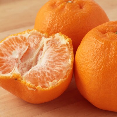 縲仙、ェ髯ス繧偵◆縺」縺キ繧頑オエ縺ウ縺溘代昴Φ繧ォ繝ウ縲先・オ縲10kg縲色49-56縲代1509753縲